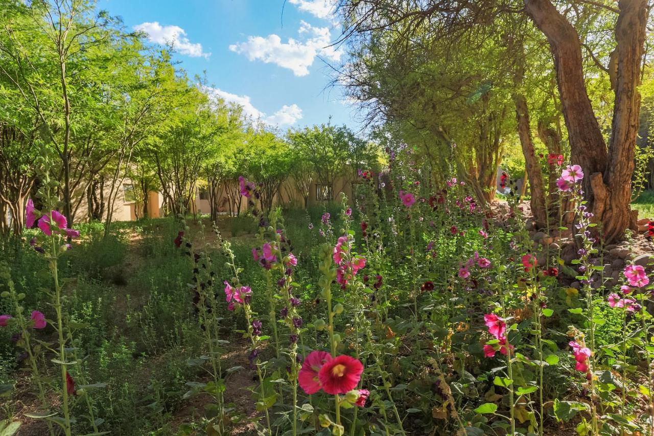 Casa Solcor Boutique 4* San Pedro de Atacama